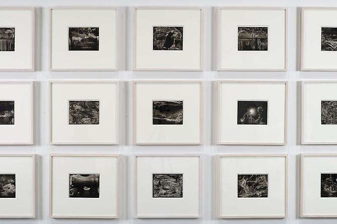 Roland Flexner
Installation View: 2010 Whitney Biennial, Whitney Museum of American Art, New York, NY. February 25 - May 30, 2010.