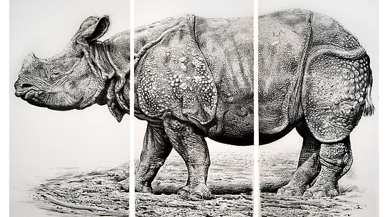 New Year's Drawings Show