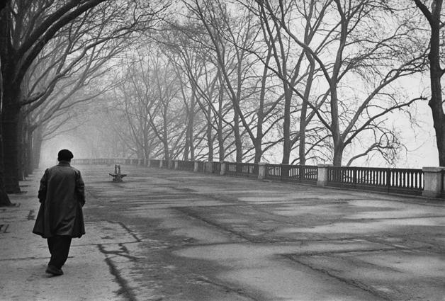 Paris
1953
Silver Gelatin Print