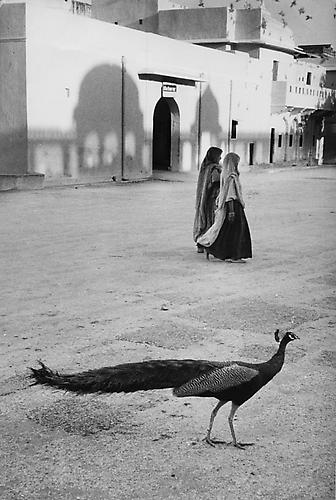 Jaipur, India 
1956
Silver Gelatin Print