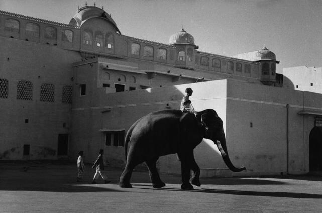 In front of the Jaipur Palace, India, 
1956
Silver Gelatin Print
