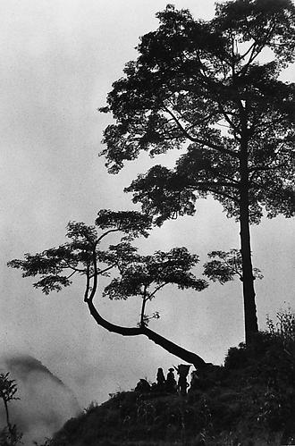 Nepal 
1956
Silver Gelatin Print