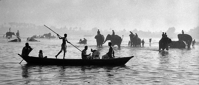 Gange, India
1956
Silver Gelatin Print