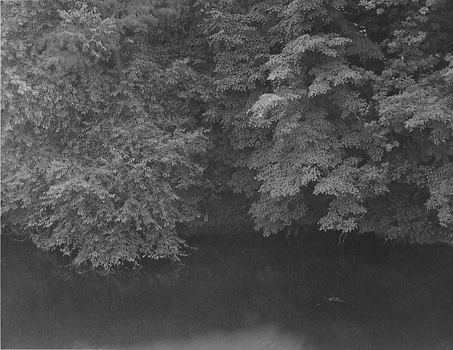 RT016
2012
gelatin silver print