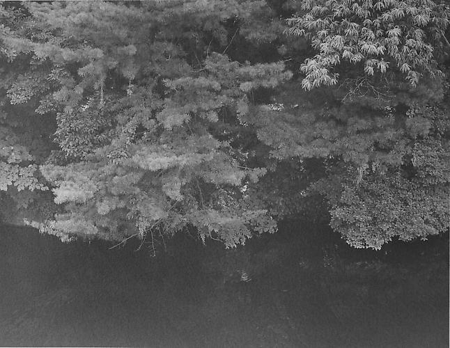 RT017
2012
gelatin silver print