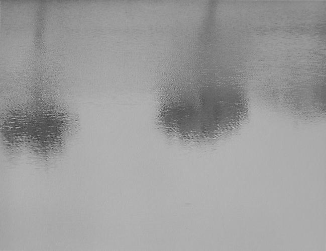RT038
2012
gelatin silver print