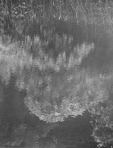 RT047
2012
gelatin silver print