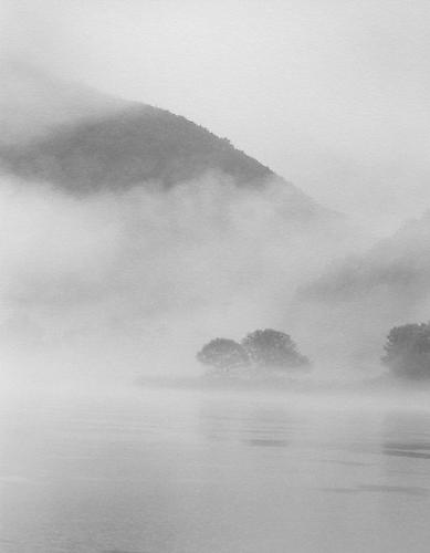 RT125
2012
gelatin silver print