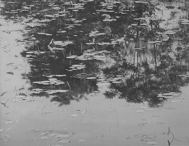 RT 029 
2011
gelatin silver print