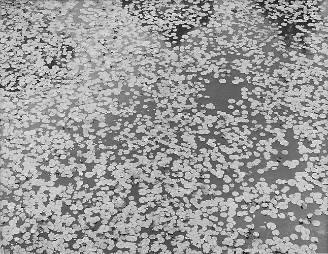 RT 055 BHM 
2011
gelatin silver print