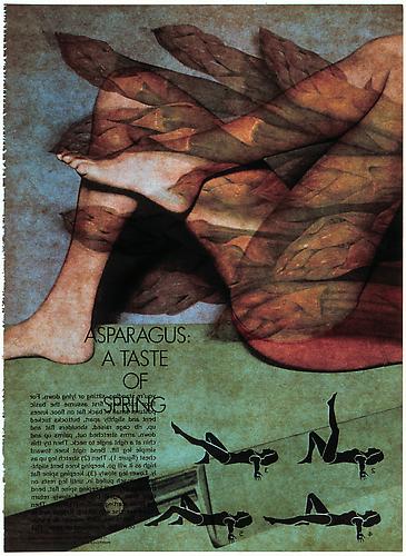 Robert Heinecken 
Recto/Verso #3,  1988
Cibachrome photogram with velum text insert
Image: 14 x 11 inches; Framed: 20.25 x 16.25 inches