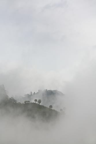 Reveal, 2008
Archival pigment print
Edition of 10
30 x 20 inches