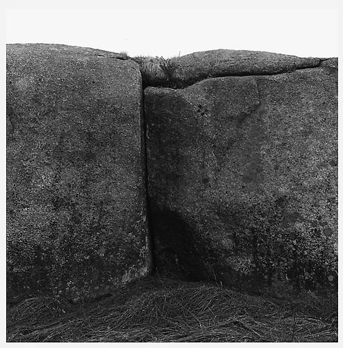 Russ Island, Maine
1971
selenium-toned gelatin silver print