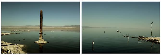 Salton Sea: Northshore, 2005
Archival pigment prints mounted on non-reflective plexiglass
Edition of 5
Diptych: 60 x 40 inches