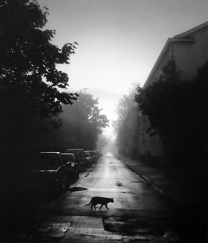 Helsinki, Finland
2000
gelatin silver print