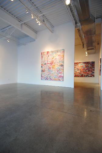AMY SCHISSEL | SYSTEMS FEVER | INSTALLATION VIEW | PATRICK MIKHAIL GALLERY