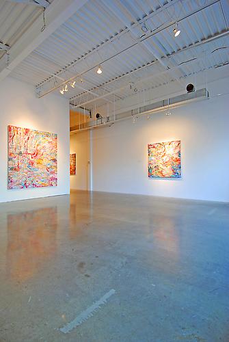 AMY SCHISSEL | SYSTEMS FEVER | INSTALLATION VIEW | PATRICK MIKHAIL GALLERY