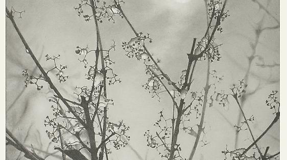 Mary Reilly: Graphite Drawings extended through August 4th!