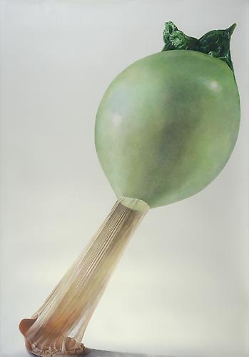 Sour Apple, 2012
Colored pencil on paper
63 x 45 inches