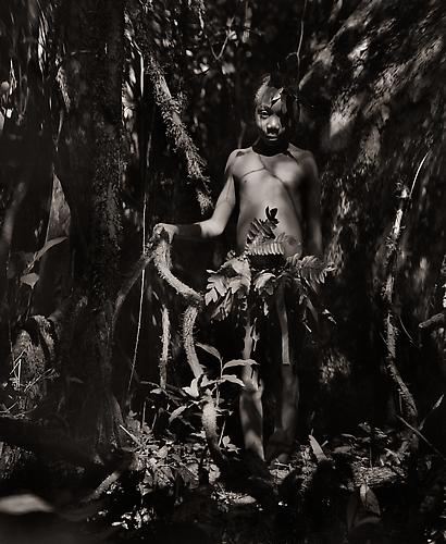Source
Efe Boy, the Ituri Rain Forest, Congo Basin, Zaire
1989
platinum/palladium print