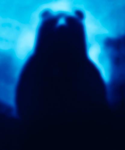Blue Bear
2009