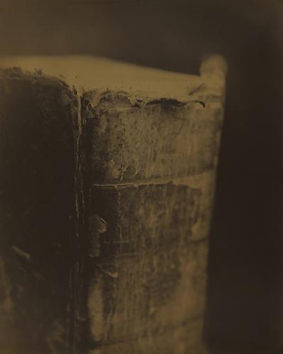 The Spine
2010
gelatin silver print