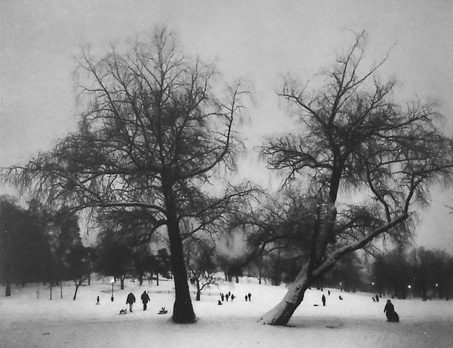 Stora Allen, Brunnsparken-Iso Puistotie,
Kaivopuisto
1997
gelatin silver print
