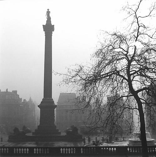 London, Trafalgar Square (Statue and Tree)
1952
gelatin silver print
