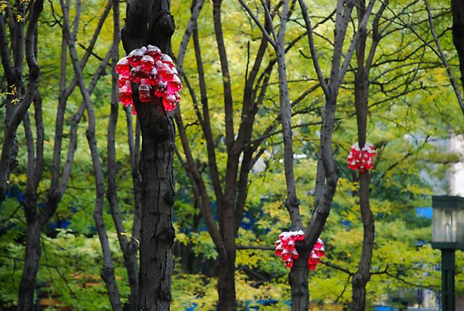 Tony Feher
A little bird told me 2007
variable
plastic beverage bottles with screw caps, water, liquid watercolor, mason twine unique site specific work consisting of 9 groupings, dispersed through wooded grove

Installation View: Everyday Eden, MetroTech Public Art Fund, Brooklyn, NY, November 8, 2007 - September 7, 2008