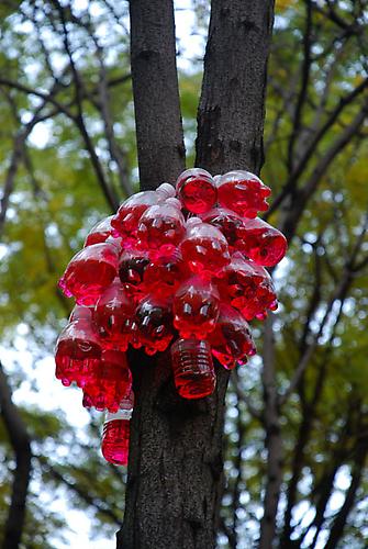 Tony Feher
A little bird told me 2007 
variable 
plastic beverage bottles with screw caps, water, liquid watercolor, mason twine unique site specific work consisting of 9 groupings, dispersed through wooded grove

Installation View: Everyday Eden, MetroTech Public Art Fund, Brooklyn, NY, November 8, 2007 - September 7, 2008