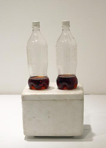 Tony Feher
Two Unfinished Liters of Diet Coke, Side by Side, on a Styrofoam Box 1996 
18 x 9 x 8 inches
plastic bottles, Diet Coke, Styrofoam
