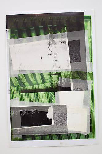 Tamar Halpern
Drawings by the Black Mascara Snake, 2012 - Detail
12 Ultrachrome ink on paper
overall grid of 12: 94 x 88 inches