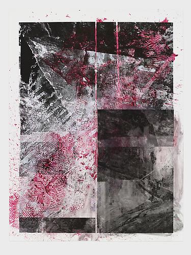 Tamar Halpern
Curved Dog, 2010
Ultrachrome ink on paper
44 x 34 inches