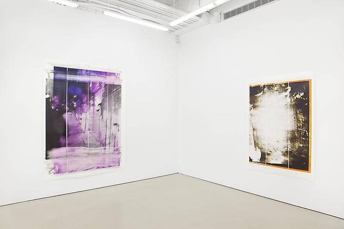 Tamar Halpern

Installation View: D'Amelio Terras, New York. September 8 - October 15, 2011.