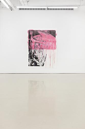 Tamar Halpern

Installation View: D'Amelio Terras, New York. September 8 - October 15, 2011.