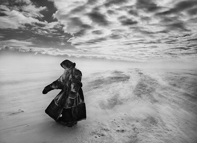 When temperatures fall sharply and fierce winds blow, the Nenets and their reindeer may spend several days in the same place until milder weather allows them to continue their migration.
gelatin silver print