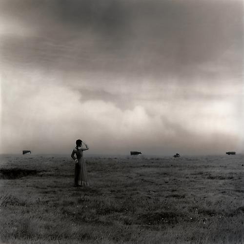 The Fury, 2008
Chromogenic Print (Kodak metallic paper, mounted to dibond)
Edition of 7
29.25 x 29.25 inches