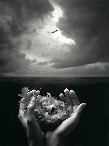Free Spirit
2006
gelatin silver print
