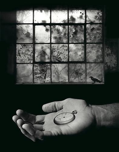The Long Now
2005
gelatin silver print