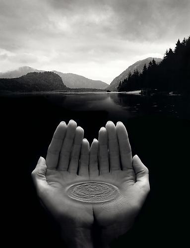 Untitled
2003
gelatin silver print