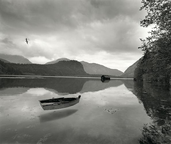Untitled
2000
gelatin silver print