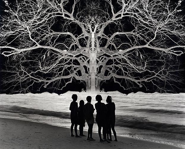 Apocalypse
1967
gelatin silver print