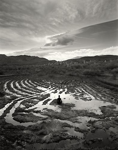Untitled
2006
gelatin silver print