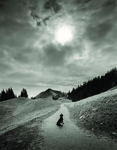 Untitled
2002
gelatin silver print