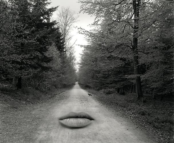 Untitled
2000
gelatin silver print