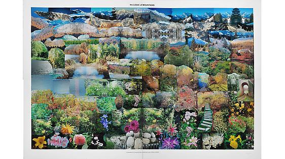 PETER HUTCHINSON:<br><i>The Logic of Mountains</i>