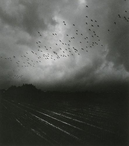 Untitled
2005
gelatin silver print
