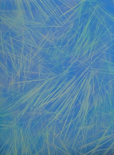 Untitled, 2012
Oil and enamel on canvas
48 x 36 inches