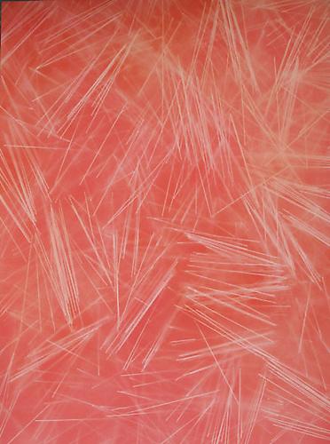 Untitled, 2012
Oil and enamel on canvas
48 x 36 inches