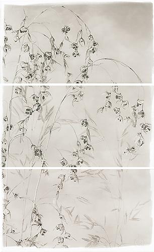 Valley Grasses IV
2012
Platinum Palladium